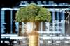 Foto: Baum wächst aus Münzstapel
