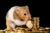 Foto: Hamster mit Euromünze